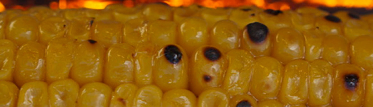 Épis de maïs grillé avec le pic à grillade du fouclette multifonctions en mode bbq